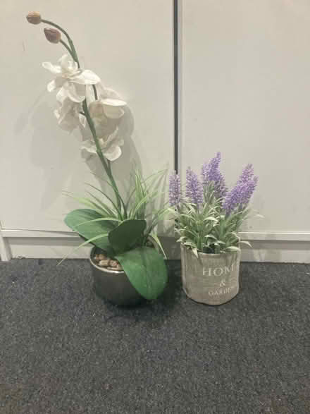 Photo of free 2 artificial decorative plants (Edgware) #1