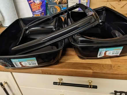 Photo of free kitten litter trays x 2 (snodland) #2