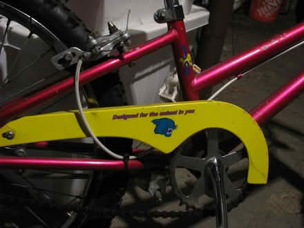 Photo of free 20" kid's bike (Spring Hill, Somerville) #2