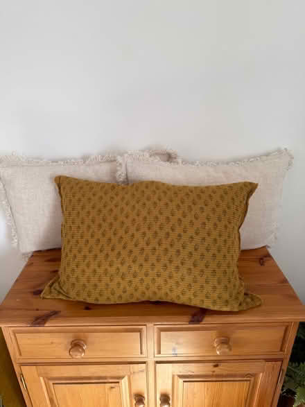 Photo of free 7 x cushions (Bloxham OX15) #3