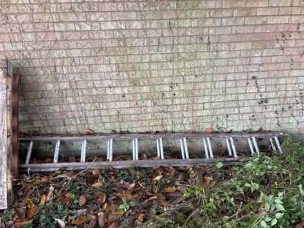 Photo of free Ladder (Shotesham) #1