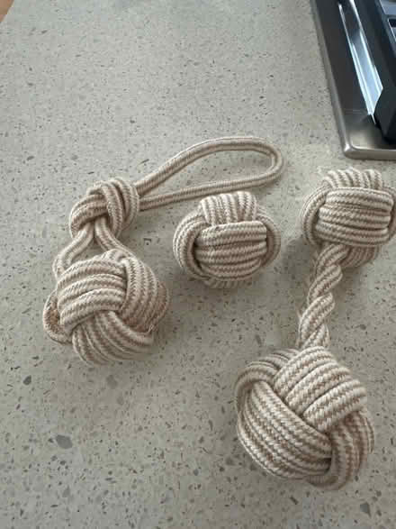 Photo of free Dog toys (Torrance 90501 near Hull MS) #2