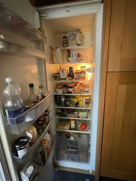 Photo of free Larder fridge (Summertown OX2) #1