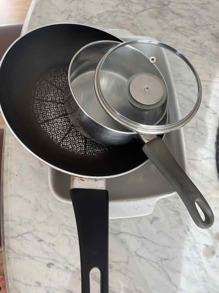 Photo of free Assorted pans/trays (SE12) #1