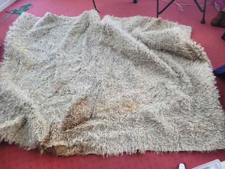 Photo of free Large deep pile rug (Lower Walkley S6) #1