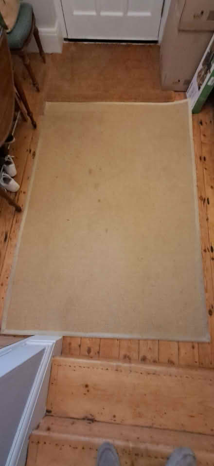 Photo of free Sisal rug (Holly Lodge Estate N6) #2