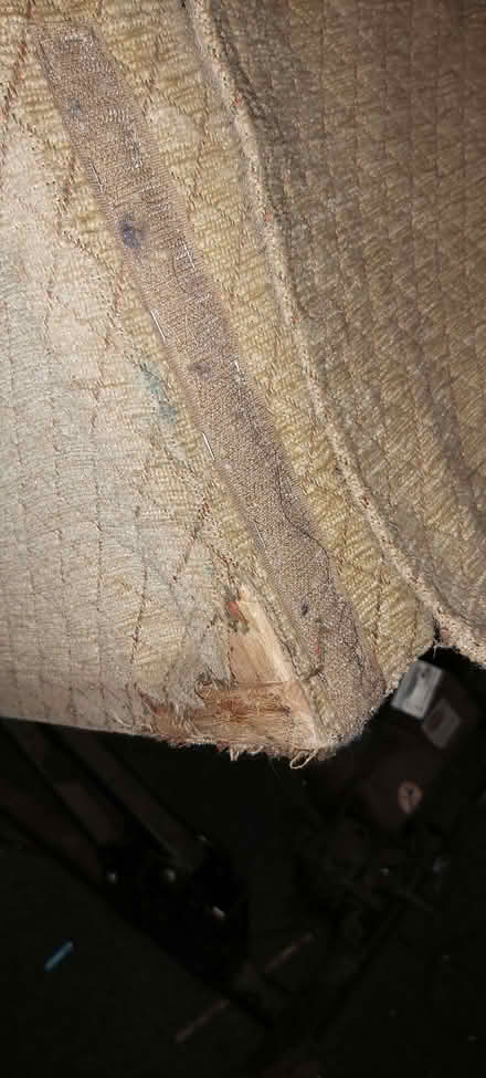 Photo of free Electric recliner chair (Okus SN1) #4