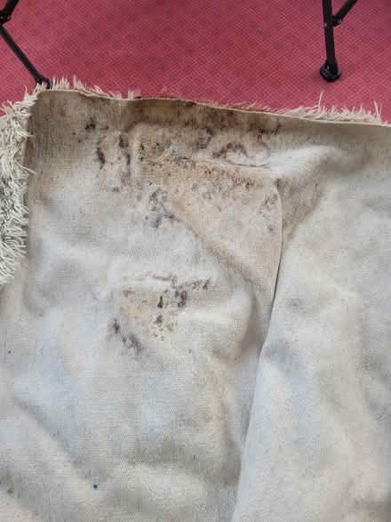 Photo of free Large deep pile rug (Lower Walkley S6) #3