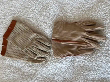 Photo of free Two pairs driving gloves for ladies (Perivale W13) #4