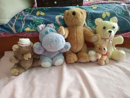 Photo of free Small stuffed toys (Eastbourne BN20) #1