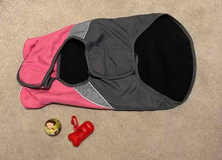Photo of free Dog vest + dog stuff (Colindale NW9) #2