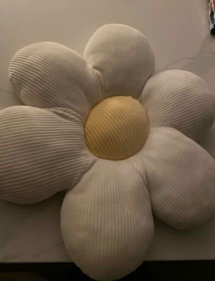 Photo of free Daisy cushion (Forest green) #1