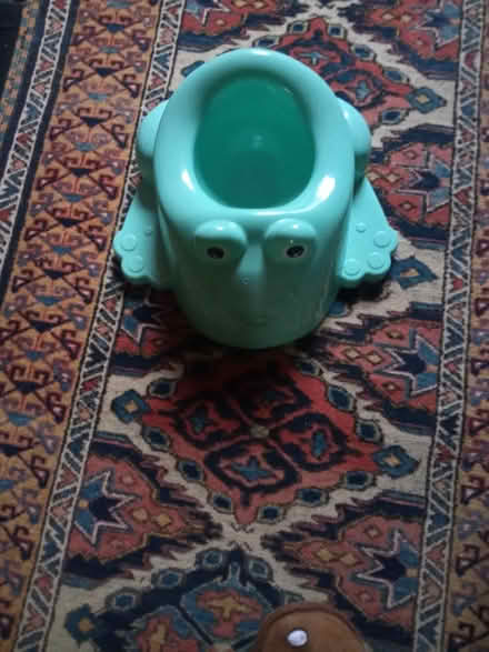 Photo of free Potty (Lower Holloway) (Lower Holloway N7) #1