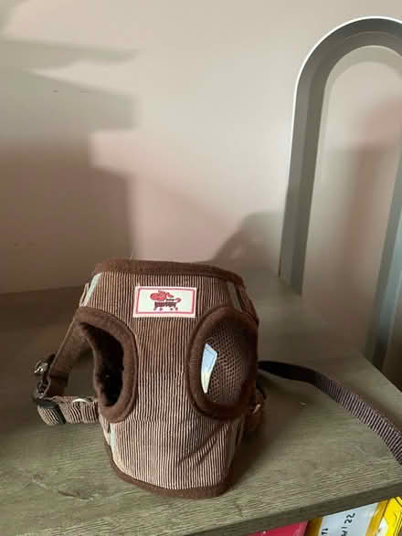 Photo of free Small cat harness (Southgate RH11) #1