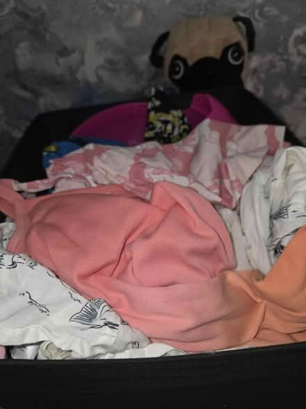 Photo of free Cleat out (Westfield S20) #1