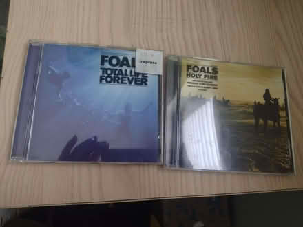 Photo of free 2 Foals CDs (Llanishen CF14) #1