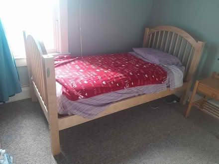 Photo of free Single size bunk beds (Wallingford) #1