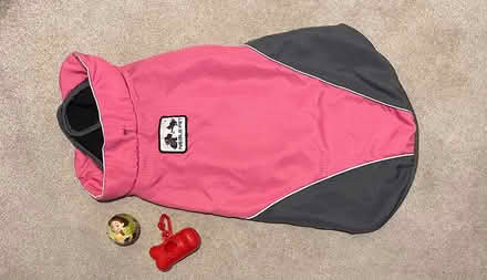 Photo of free Dog vest + dog stuff (Colindale NW9) #1