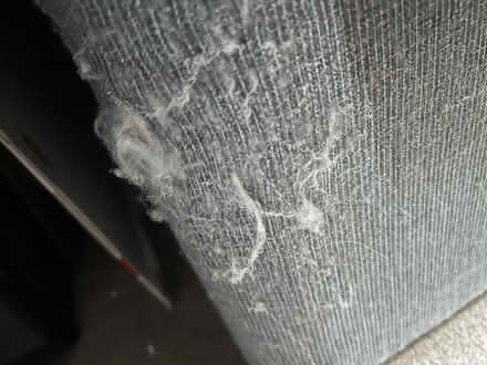 Photo of free Single bed with headboard and duvet (Gillingham ME7) #1