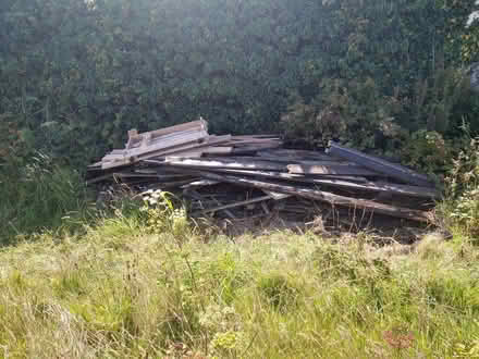 Photo of free Pile of old wood (Tredinnick TR20) #1