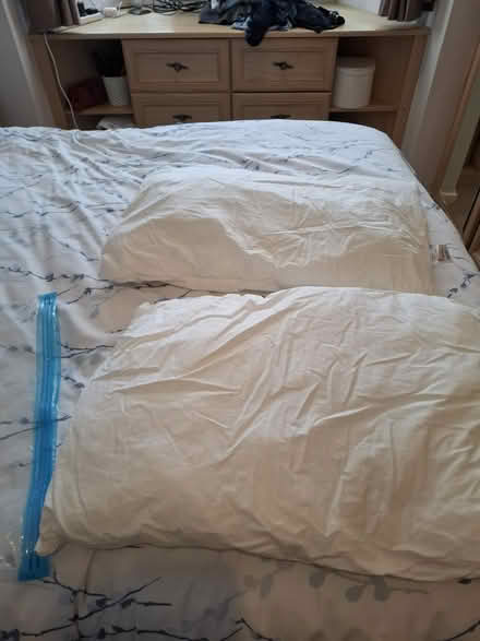 Photo of free 2 pillows (Croydon CR0) #1