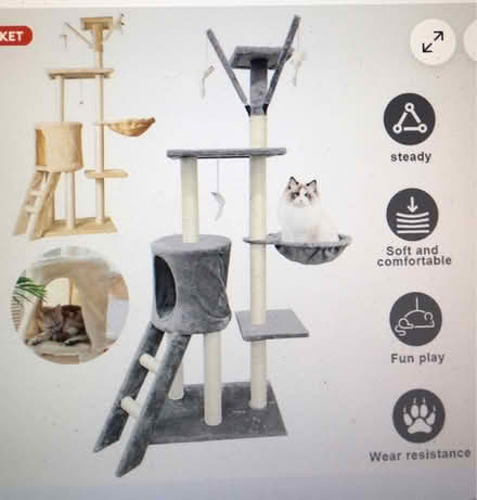 Photo of Cat Tree of Medium Height (Liverpool L6) #2