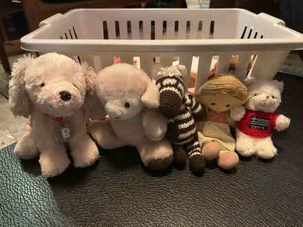 Photo of free Classic Soft Toys (Frecheville S12) #1