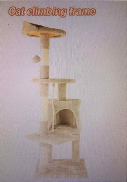 Photo of Cat Tree of Medium Height (Liverpool L6) #1