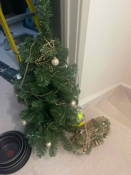 Photo of free Christmas tree and wreath (Marlborough) #1