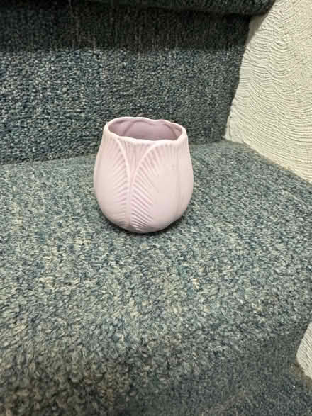 Photo of free Porcelain tulip petal votive (West Bristol) #1