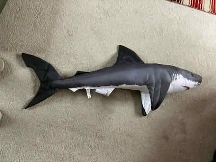 Photo of free Shark Soft Toy (DA1) #1