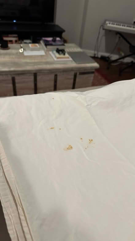 Photo of free Two flat bed sheets queen size (Logan Circle) #2
