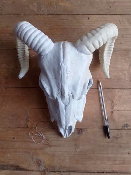 Photo of free Plastic ram head (Barry) #1