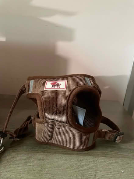 Photo of free Medium cat harness (Southgate RH11) #1