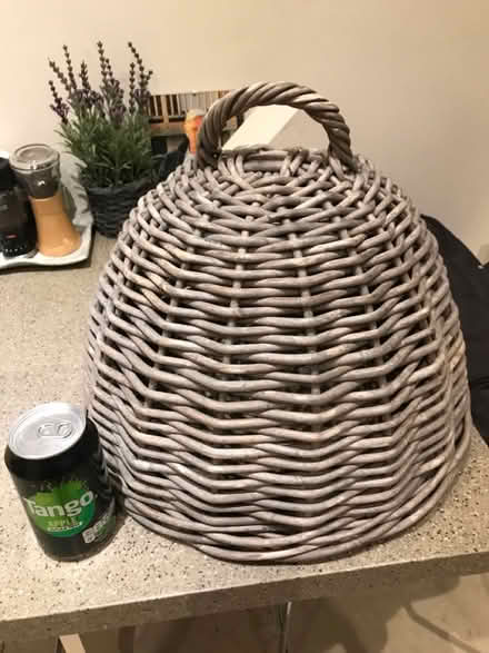 Photo of free Wicker cloche (Shepherds Bush) #1