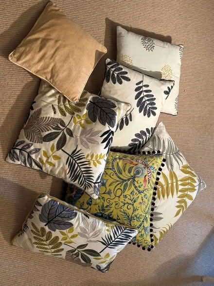 Photo of free Set of cushions (Heale TA10) #2