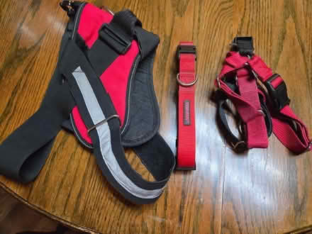 Photo of free Dog collar and harnesses (Near Sugarcreek Reserve) #1