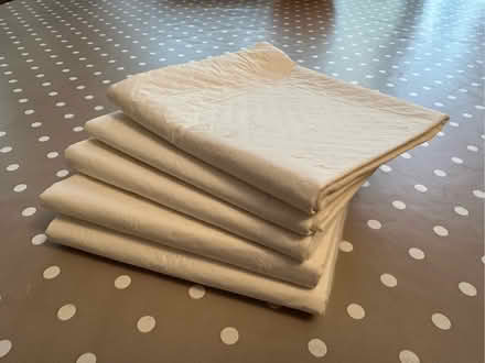 Photo of free Puppy pads (Twyford RG10) #1