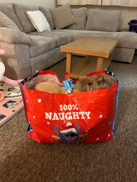 Photo of free Extra large baby bundle (Islington) #1