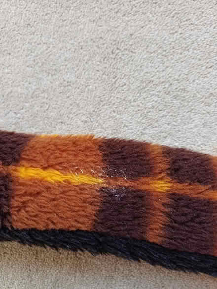 Photo of free Snake Draught Excluder Not A Toy (CT7) #2