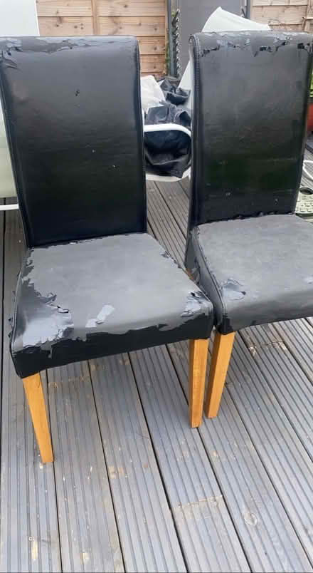 Photo of free 5 chairs (SG8) #1