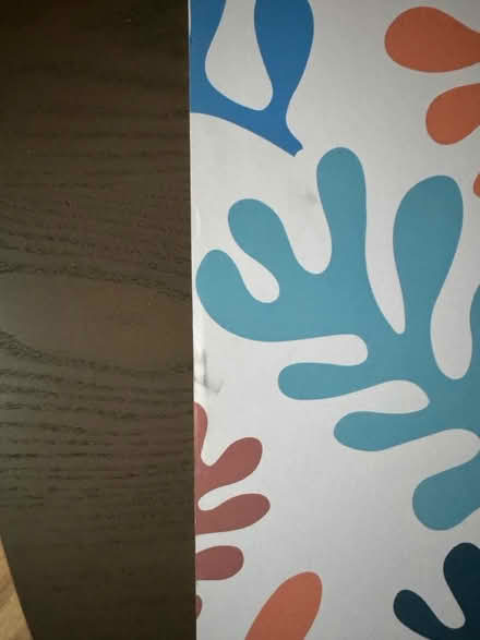 Photo of free Matisse art print (SE13) #2