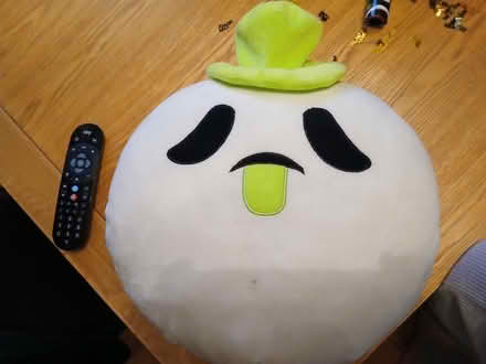 Photo of free Big soft toy thing ! (Parkhead EH11) #3