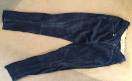 Photo of free Jodhpurs (Christchurch Town Centre) #2