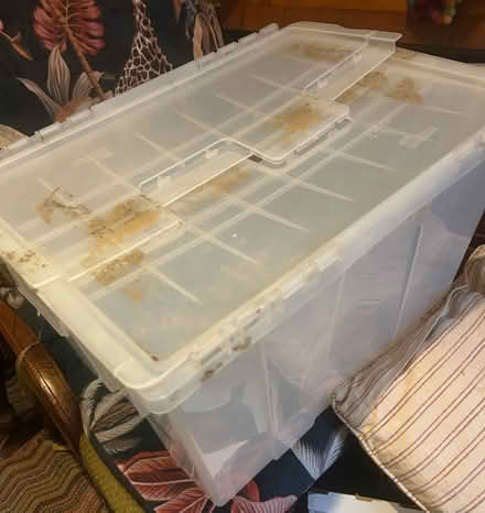 Photo of free Big plastic box (Finsbury Park N4) #1