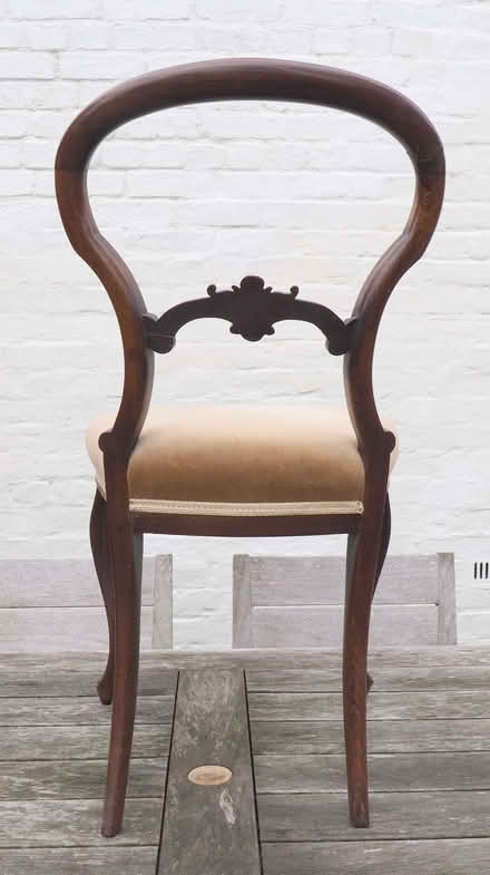 Photo of free Two walnut dining chairs (Lower Wick WR2) #4