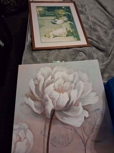 Photo of free 1 wall canvas (Lostock Hall PR5) #1