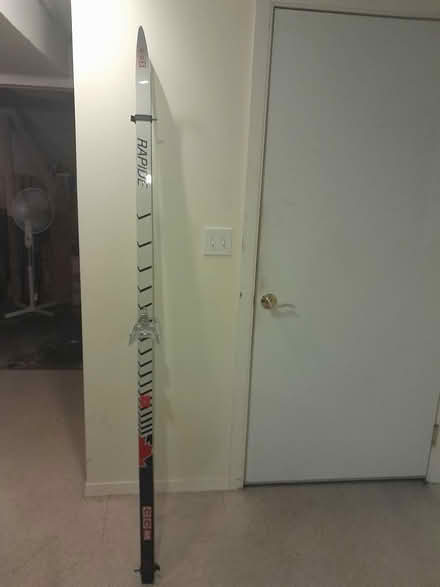 Photo of free Cross country skis (Wallingford) #1