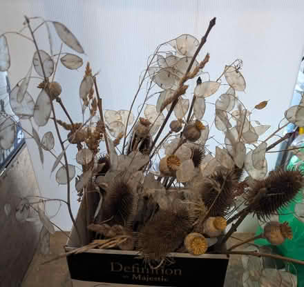 Photo of free Bottles with dried seed heads (SL6 Maidenhead) #2