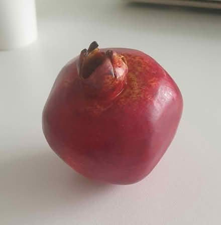 Photo of free Faux Pomegranate (Glascote B77) #1